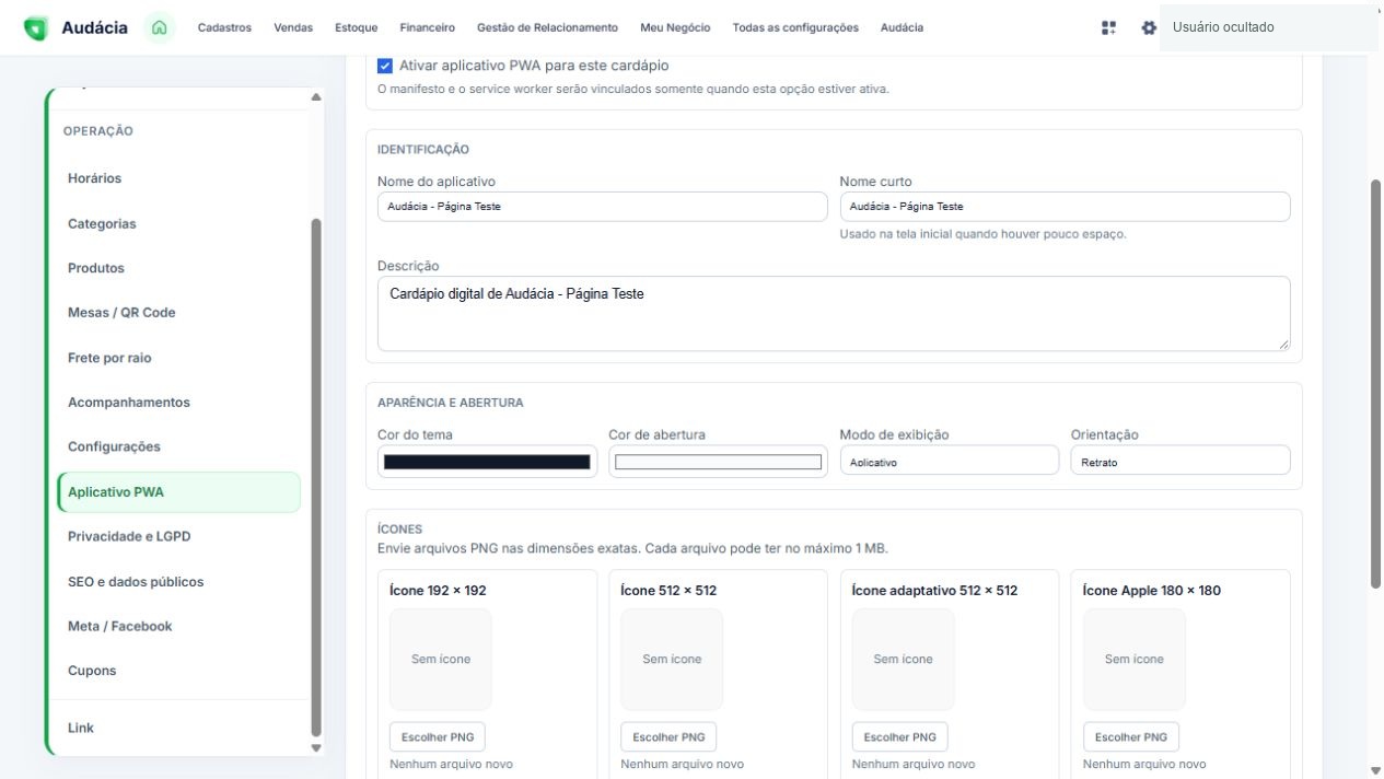 Configuração do aplicativo PWA com identificação, aparência e ícones